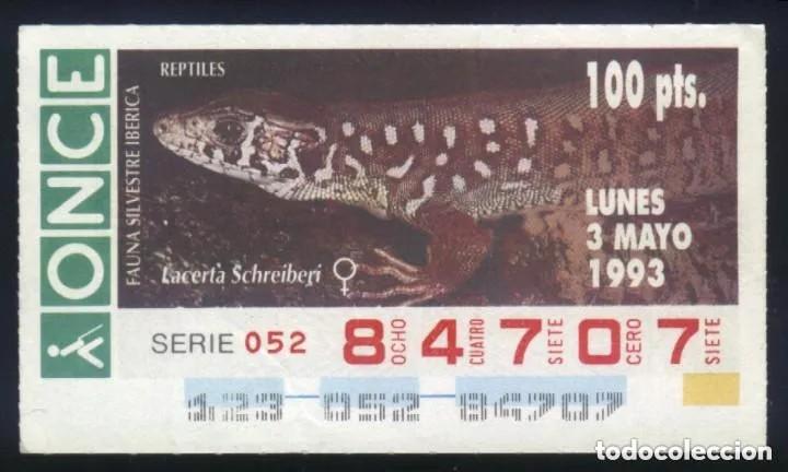 Cupones ONCE: A-8691- CUP&Oacute;N ONCE. 3 MAYO 1993. FAUNA SILVESTRE IB&Eacute;RICA. REPTILES. LACERTA SCHREIBERI.