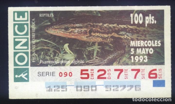 Cupones ONCE: A-8692- CUP&Oacute;N ONCE. 5 MAYO 1993. FAUNA SILVESTRE IB&Eacute;RICA. REPTILES. PSAMMODROMUS ALGIRUS.