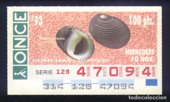 Cupones ONCE: A-8733- CUP&Oacute;N ONCE. 10 NOVIEMBRE 1993. CONCHAS GASTROPODAS, NERITA LINEATA.