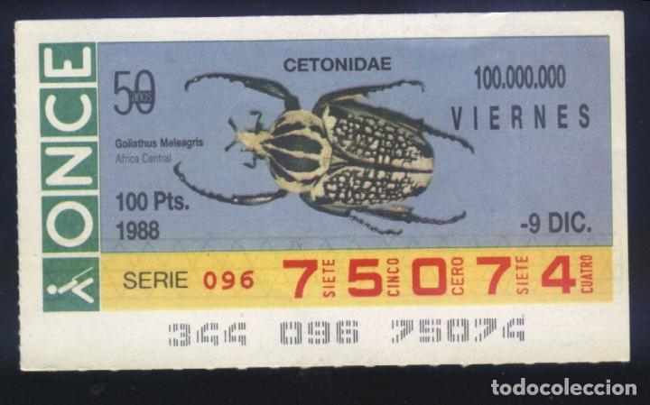 Cupones ONCE: A-8750- CUP&Oacute;N ONCE. VIERNES 9 DICIEMBRE 1988. CETONIDAE.