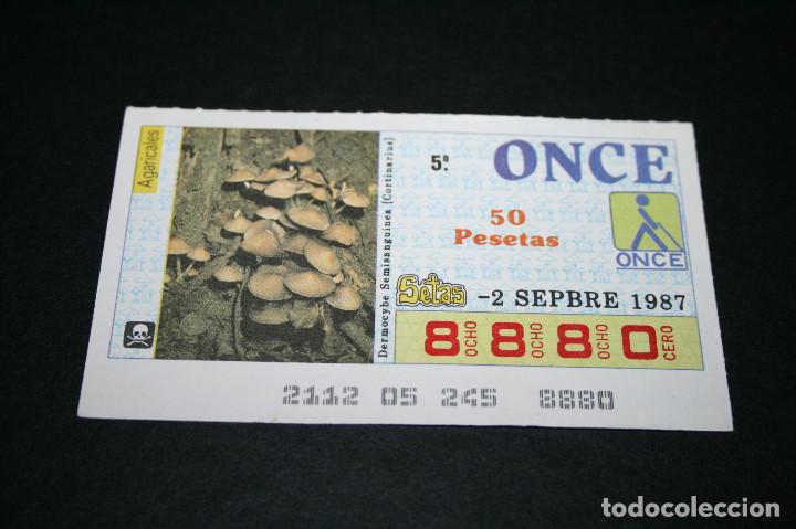 ONCE Coupons: CUP&Oacute;N ONCE - 2 SEPTIEMBRE 1987 - AGARICALES, DERMOCYBE SEMISANGUINEA (CORTINARIUS)
