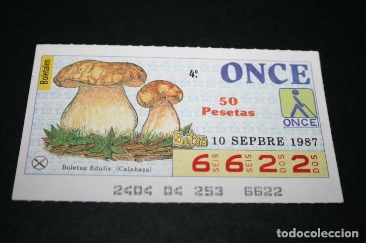 Coupon ONCE: CUP&Oacute;N ONCE - 10 SEPTIEMBRE 1987 - BOLETALES, BOLETUS EDULIS (CALABAZA)