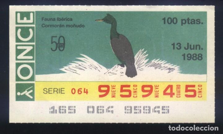 Cupones ONCE: A-8953- CUP&Oacute;N ONCE. 13 JUNIO 1988. FAUNA IB&Eacute;RICA. CORMOR&Aacute;N MO&Ntilde;UDO.