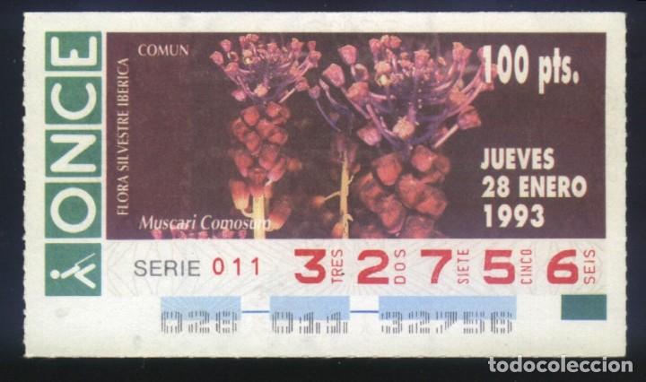 Bilhetes ONCE: A-9023- CUP&Oacute;N ONCE. 20 ENERO 1993. FLORA SILVESTRE IB&Eacute;RICA. MUSCARI COMOSUM.
