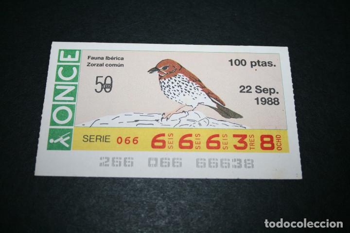 ONCE Coupons: CUP&Oacute;N ONCE - 22 SEPTIEMBRE 1988 - FAUNA IB&Eacute;RICA ZORZAL COM&Uacute;N