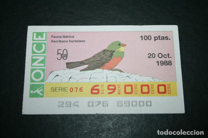 ONCE Coupons: CUP&Oacute;N ONCE - 19 OCTUBRE 1988 - FAUNA IB&Eacute;RICA MOSQUITERO PAPIALBO