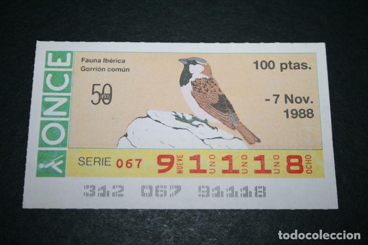 ONCE Coupons: CUP&Oacute;N ONCE - 7 NOVIEMBRE 1988 - FAUNA IB&Eacute;RICA GORRI&Oacute;N COM&Uacute;N