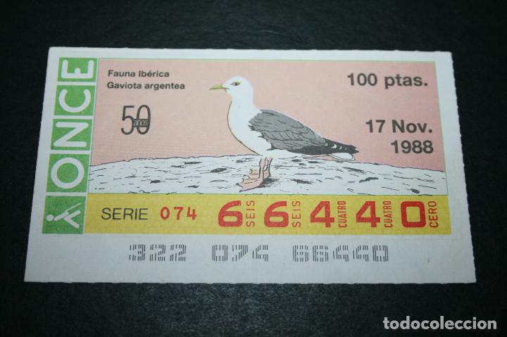 ONCE Coupons: CUP&Oacute;N ONCE - 17 NOVIEMBRE 1988 - FAUNA IB&Eacute;RICA GAVIOTA ARGENTEA