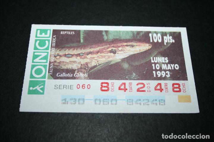 Bilhetes ONCE: CUP&Oacute;N ONCE - 10-MAYO-1993 - FAUNA SILVESTRE IB&Eacute;RICA REPTILES GALLOTIA GALLOTI