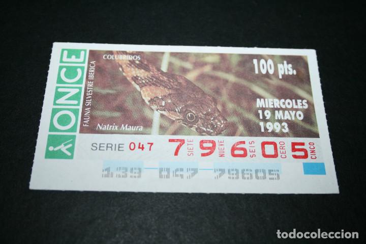 Bilhetes ONCE: CUP&Oacute;N ONCE - 19-MAYO-1993 - FAUNA SILVESTRE IB&Eacute;RICA COL&Uacute;BRIDOS NATRIX MAURA