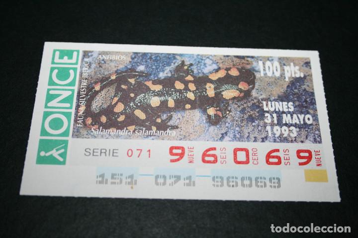 Bilhetes ONCE: CUP&Oacute;N ONCE - 31-MAYO-1993 - FAUNA SILVESTRE IB&Eacute;RICA ANFIBIOS SALAMANDRA SALAMANDRA
