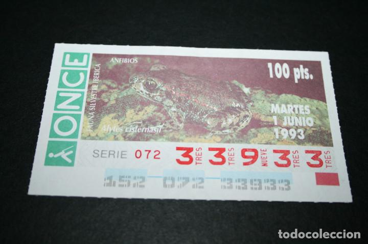 Coupon ONCE: CUP&Oacute;N ONCE - 1-JUNIO-1993 - FAUNA SILVESTRE IB&Eacute;RICA ANFIBIOS ALYTES CISTERNASIL