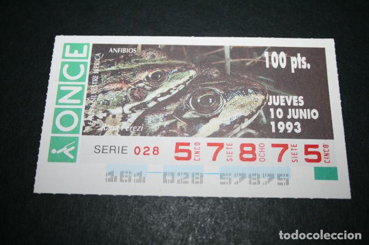 Bilhetes ONCE: CUP&Oacute;N ONCE - 10-JUNIO-1993 - FAUNA SILVESTRE IB&Eacute;RICA ANFIBIOS RANA PEREZI
