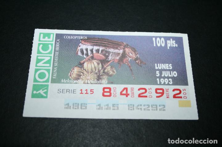 Bilhetes ONCE: CUP&Oacute;N ONCE - 5-JULIO-1993 - FAUNA SILVESTRE IB&Eacute;RICA COLE&Oacute;PTEROS MELOLONTHA MELOLONTHA