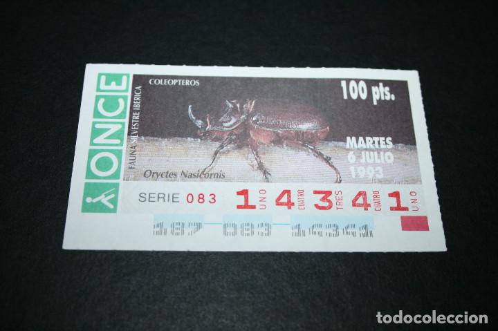 ONCE Coupons: CUP&Oacute;N ONCE - 6-JULIO-1993 - FAUNA SILVESTRE IB&Eacute;RICA COLE&Oacute;PTEROS ORYCLES NASICORNIS