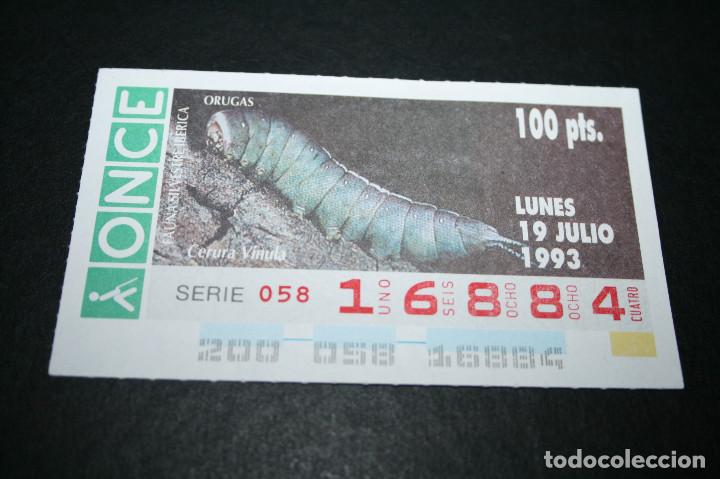 Bilhetes ONCE: CUP&Oacute;N ONCE - 19-JULIO-1993 - FAUNA SILVESTRE IB&Eacute;RICA ORUGAS CERURA VINULA