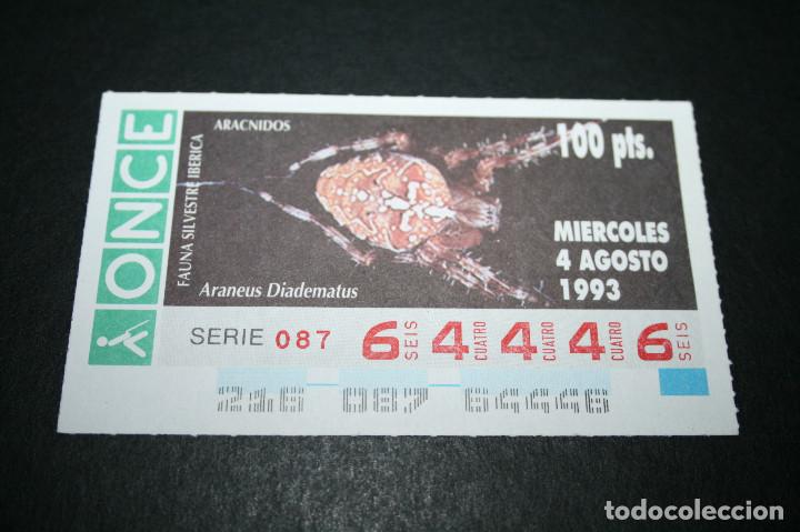 Bilhetes ONCE: CUP&Oacute;N ONCE - 4-AGOSTO-1993 - FAUNA SILVESTRE IB&Eacute;RICA AR&Aacute;CNIDOS ARANEUS DIADEMATUS