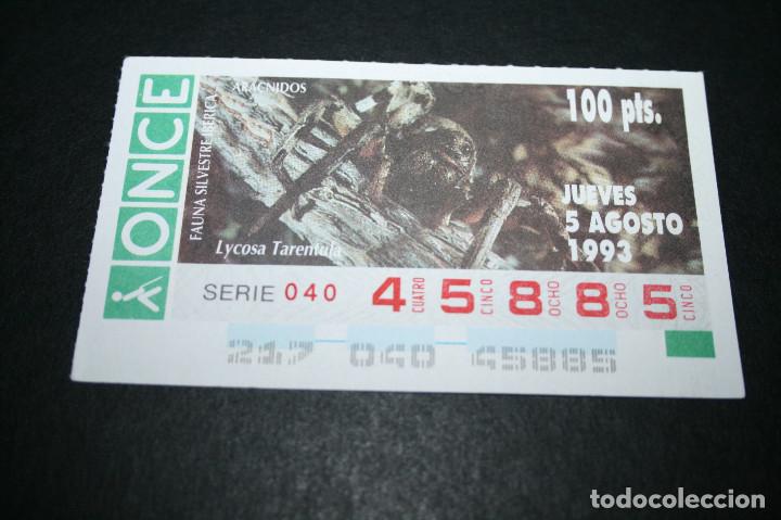 ONCE Coupons: CUP&Oacute;N ONCE - 5-AGOSTO-1993 - FAUNA SILVESTRE IB&Eacute;RICA AR&Aacute;CNIDOS LYCOSA TARENTULA