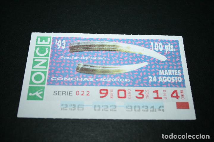 ONCE Coupons: CUP&Oacute;N ONCE - 24-AGOSTO-1993 - CONCHAS SCAFOPODAS DENTALIUM ELEPHANTINUM