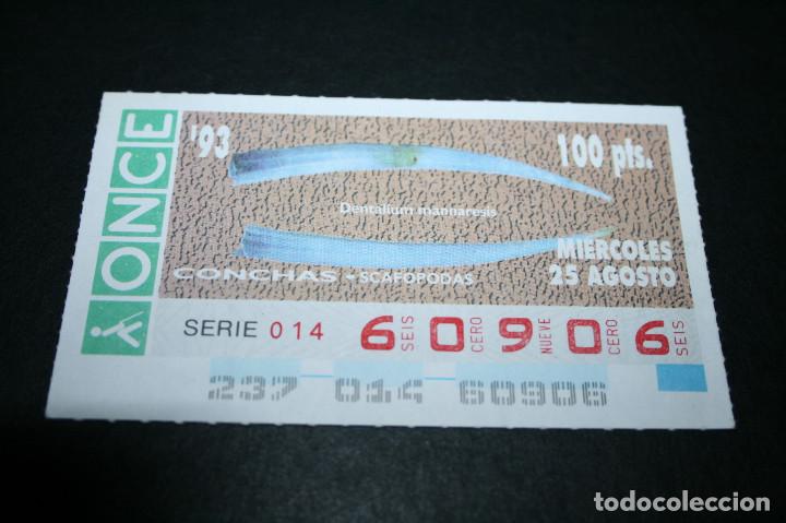 Bilhetes ONCE: CUP&Oacute;N ONCE - 25-AGOSTO-1993 - CONCHAS SCAFOPODAS DENTALIUM MANNARESIS