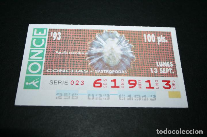 Bilhetes ONCE: CUP&Oacute;N ONCE - 13-SEPTIEMBRE-1993 - CONCHAS GASTROPODAS PATELLA CAERULEA