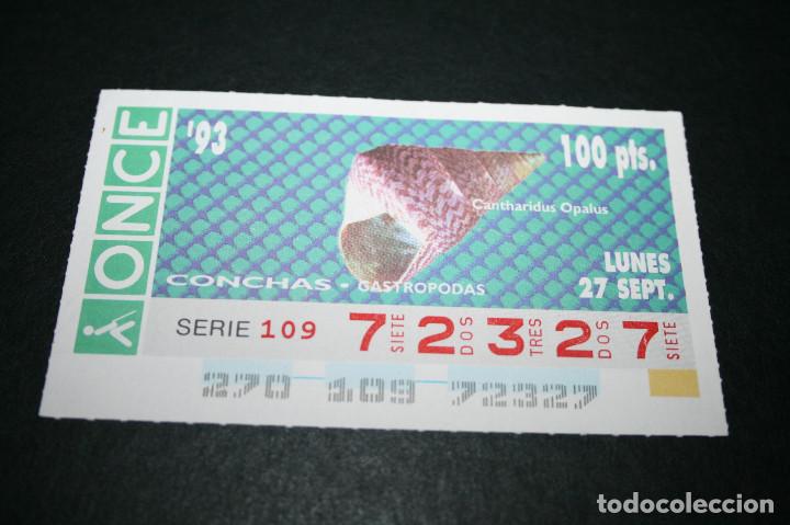 ONCE Coupons: CUP&Oacute;N ONCE - 27-SEPTIEMBRE-1993 - CONCHAS GASTROPODAS CANTHARIDUS OPALLUS