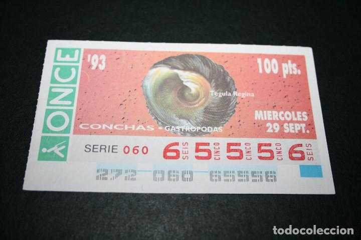 Bilhetes ONCE: CUP&Oacute;N ONCE - 29-SEPTIEMBRE-1993 - CONCHAS GASTROPODAS TEGULA REGINA