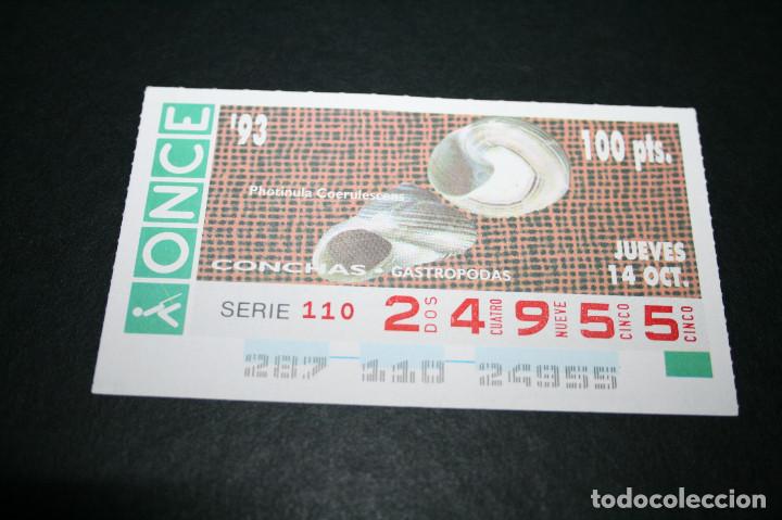ONCE Coupons: CUP&Oacute;N ONCE - 14-OCTUBRE-1993 - CONCHAS GASTROPODAS PHOTINULA COERULESCENS