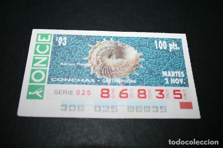 ONCE Coupons: CUP&Oacute;N ONCE - 2-NOVIEMBRE-1993 - CONCHAS GASTROPODAS ASTRAEA PHOEBIA