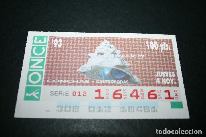ONCE Coupons: CUP&Oacute;N ONCE - 4-NOVIEMBRE-1993 - CONCHAS GASTROPODAS ASTRAEA STELLARIS