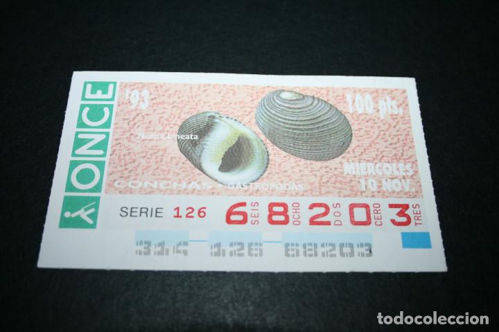 Bilhetes ONCE: CUP&Oacute;N ONCE - 10-NOVIEMBRE-1993 - CONCHAS GASTROPODAS NERITA LINEATA