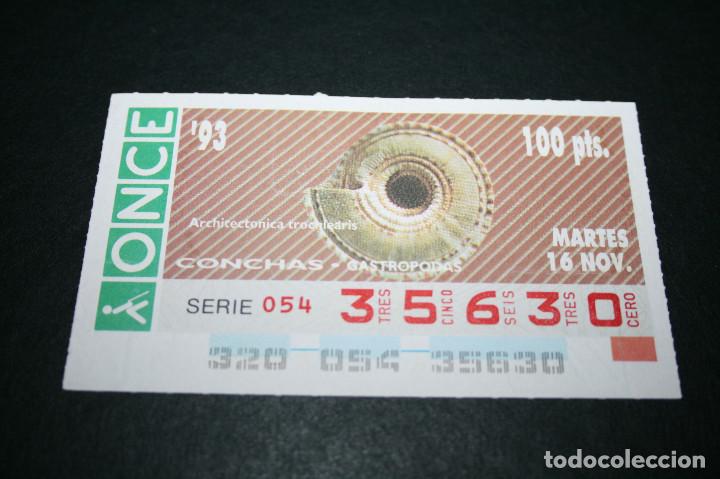 ONCE Coupons: CUP&Oacute;N ONCE - 16-NOVIEMBRE-1993 - CONCHAS GASTROPODAS ARCHITECTONICA TROCHLEARIS