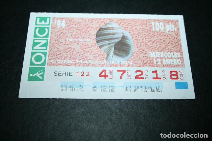 ONCE Coupons: CUP&Oacute;N ONCE - 12-ENERO-1994 - CONCHAS GASTR&Oacute;PODAS TONNA SULCOSA