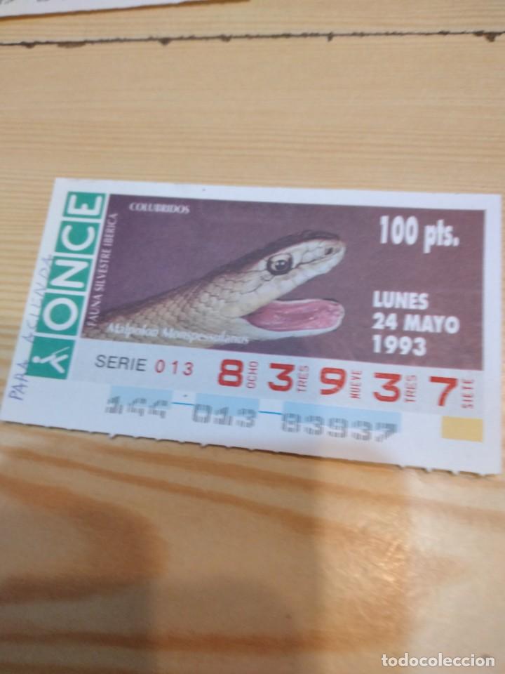 Bilhetes ONCE: R-44N CUPON DE LA ONCE 1993 LUNES 24 MAYO MALPOLON MONSPESSULANUS COLUBRIDOS FAUNA IBERICA