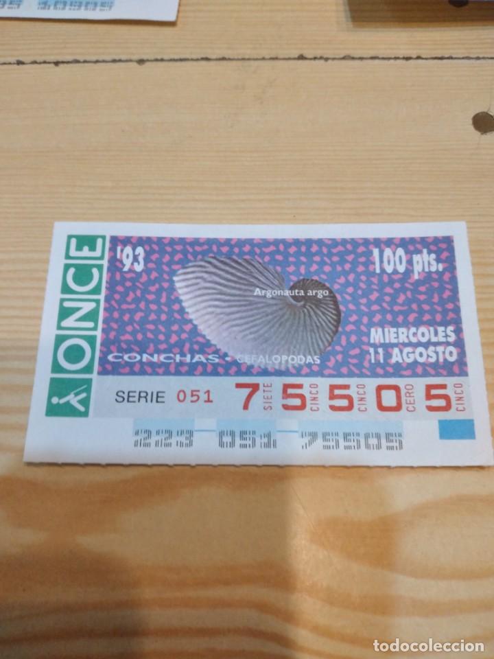 Bilhetes ONCE: R-44N CUPON DE LA ONCE 1993 MIERCOLES 11 AGOSTO CONCHAS CEFALOPODAS