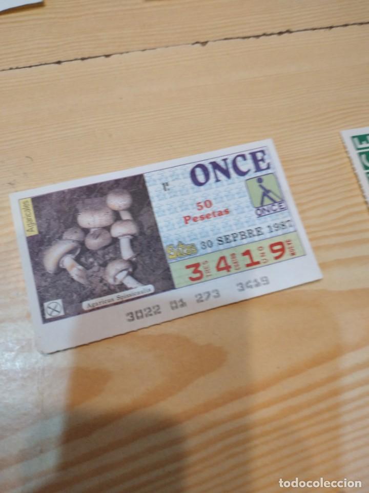 Bilhetes ONCE: R-44N CUPON DE LA ONCE 1987 30 SEPTIEMBRE SETAS AGARICUS SPISSICAULIS