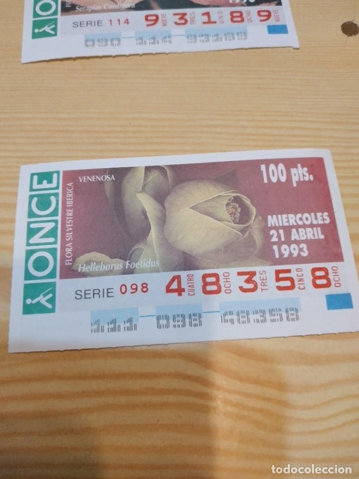 Coupon ONCE: R-44N CUPON DE LA ONCE 1993 MIERCOLES 21 ABRIL VENENOSA HELLEBORUS FOETIDUS