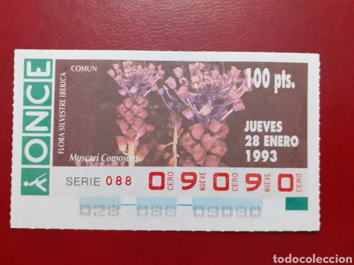 Cupones ONCE: Capicua once 09090 de 28 enero 1993 Flora Silvestre ib&eacute;rica