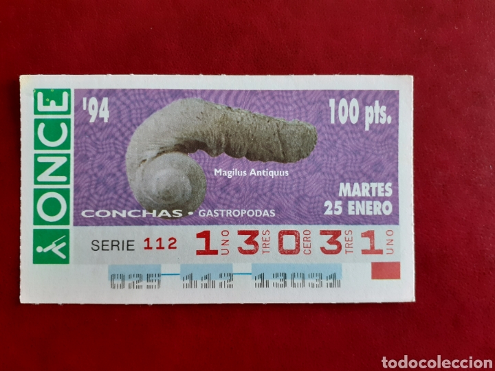 Cupones ONCE: Capicua once 13031 de 25 enero 1994 conchas