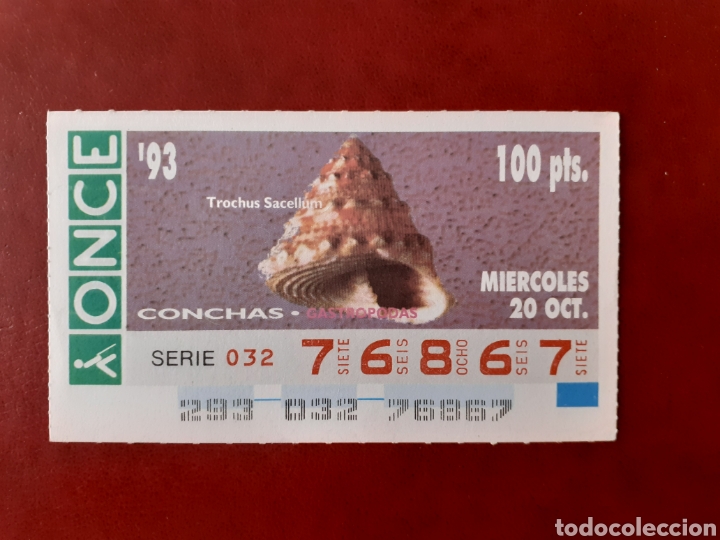 Coupon ONCE: Capicua once 76867 de 20 octubre 1993 conchas