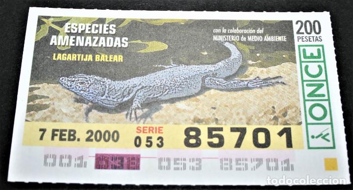 Cupones ONCE: CUP&Oacute;N ONCE - 7-FEBRERO-2000 - ESPECIES AMENAZADAS - LAGARTIJA BALEAR