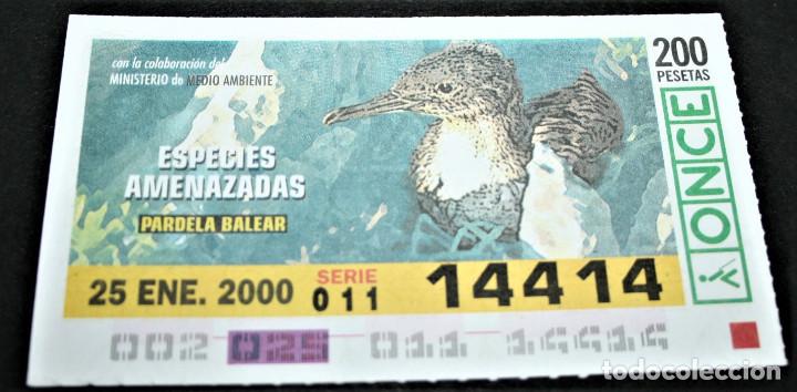 Cupones ONCE: CUP&Oacute;N ONCE - 25-ENERO-2000 - ESPECIES AMENAZADAS - PARDELA BALEAR