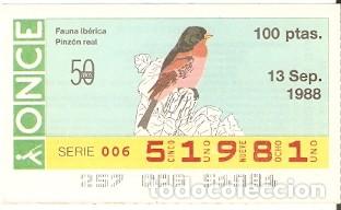 Cupones ONCE: Cup&oacute;n Once 1988. Pinz&oacute;n Real. 8-130988