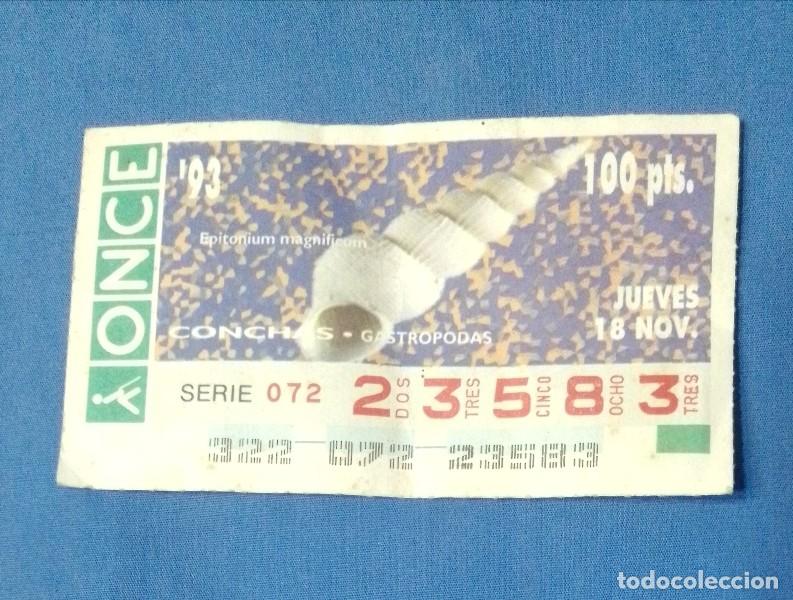 Cupones ONCE: cupon ONCE conchas gastropodas 93 - Foto 1