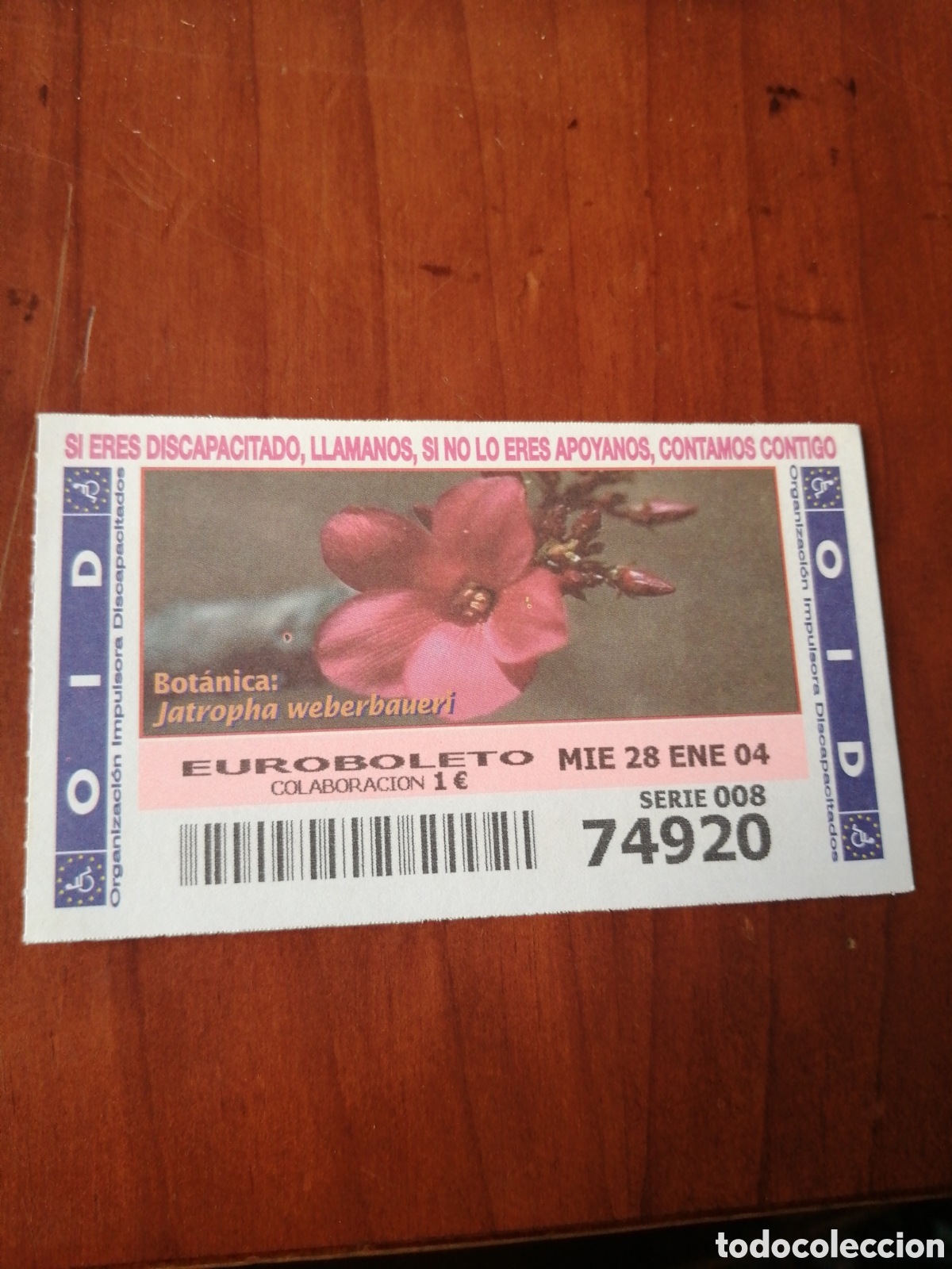 Cupones ONCE: CUPON ONCE : BOTANICA : JATROPHA WEBERBAUERI - Foto 1