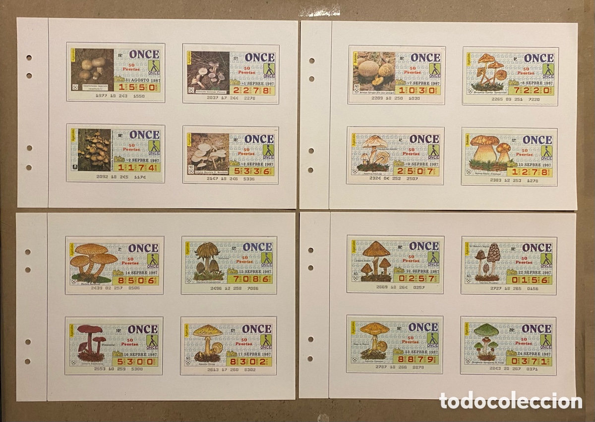 Cupones ONCE: COLECCI&Oacute;N CUPONES SORTEO ONCE, TEM&Aacute;TICA &ldquo;SETAS&rdquo; DE 1987. 35 CUPONES EN TOTAL - Foto 2