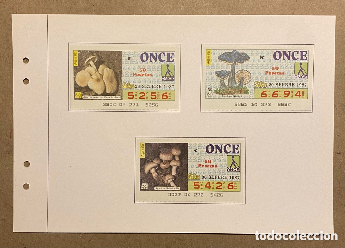 Cupones ONCE: COLECCI&Oacute;N CUPONES SORTEO ONCE, TEM&Aacute;TICA &ldquo;SETAS&rdquo; DE 1987. 35 CUPONES EN TOTAL - Foto 3