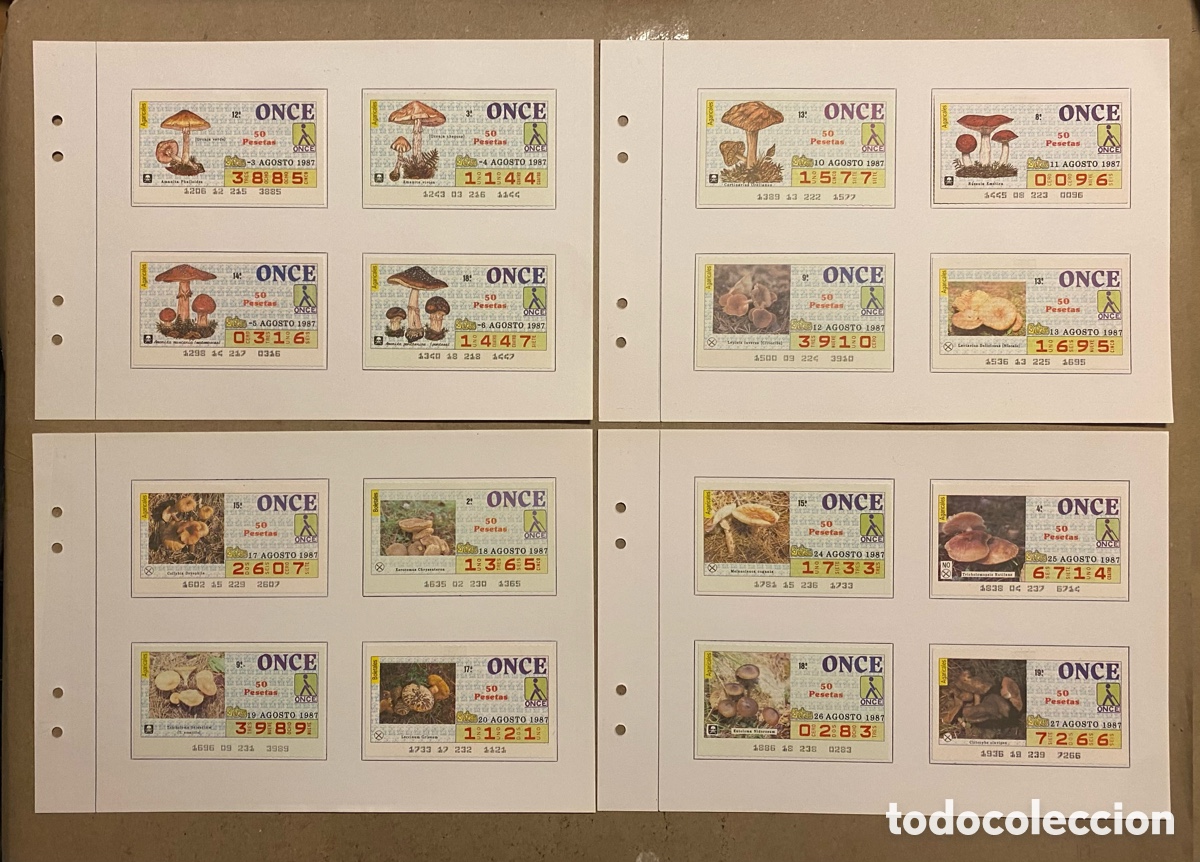 Cupones ONCE: COLECCI&Oacute;N CUPONES SORTEO ONCE, TEM&Aacute;TICA &ldquo;SETAS&rdquo; DE 1987. 35 CUPONES EN TOTAL - Foto 1