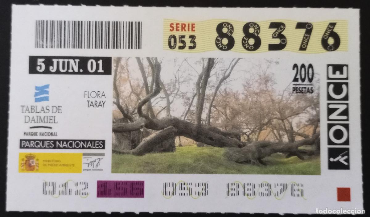 Cupones ONCE: CUP&Oacute;N ONCE - 5/JUNIO/2001 - TABLAS DE DAIMIEL - TARAY - Foto 1