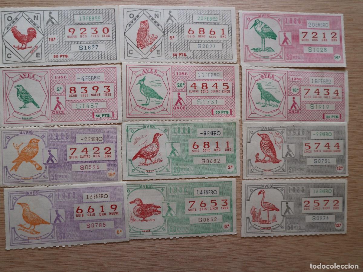 Cupones ONCE: LOTE DE 24 CUPONES DE LA ONCE AVES - Foto 3
